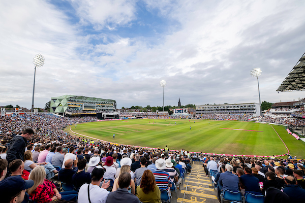 Cricket Christmas Gifts: Give the Gift of Cricket This Winter!