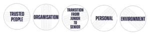 Cricket ball icons with the following text over the top: 'trusted people', 'organisation', 'transition from junior to senior', 'personal' and 'environment'.