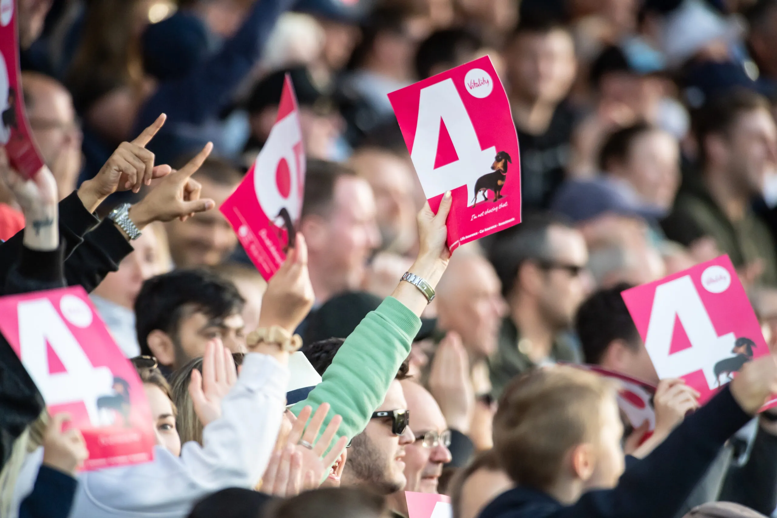 Crowds holding up their cards signaling four at Headingley