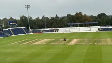 Sophia Gardens